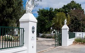Green Olive Guesthouse